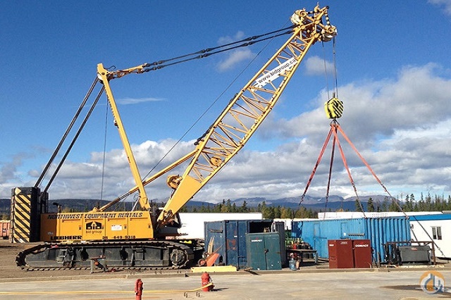 cranes hirer,cranes